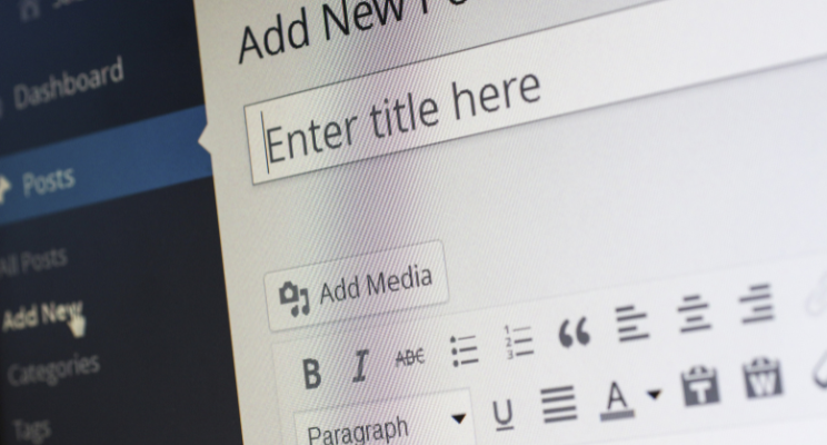 close up of blog title text box in wordpress